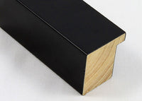 Custom Picture Frame CFSX300-845