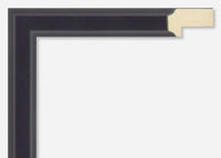 Custom Picture Frame CFSX300-885