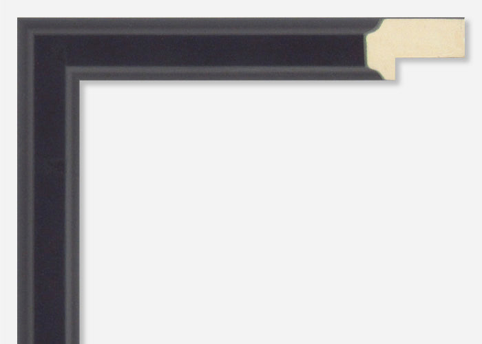 Custom Picture Frame CFSX300-885
