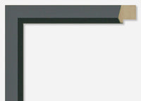 Custom Picture Frame CFSX300-965