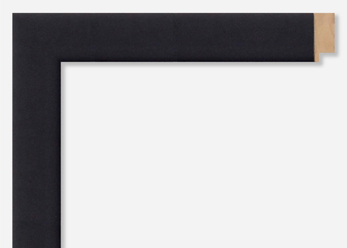 Custom Picture Frame CFSX300-975