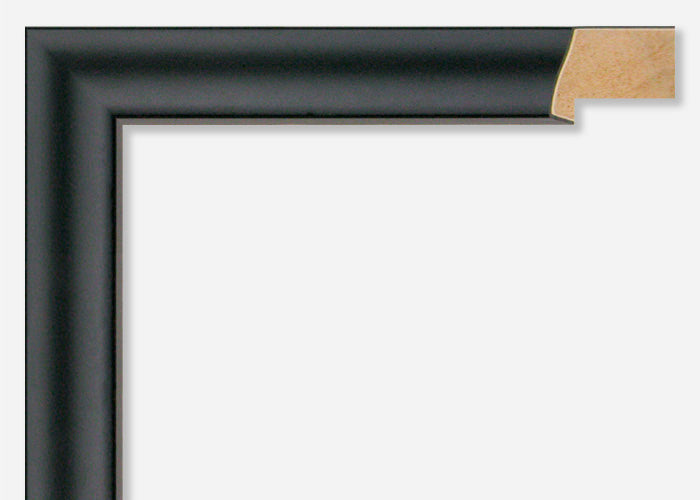 Custom Picture Frame CFSX305-165