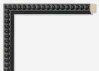 Custom Picture Frame CFSX305-170