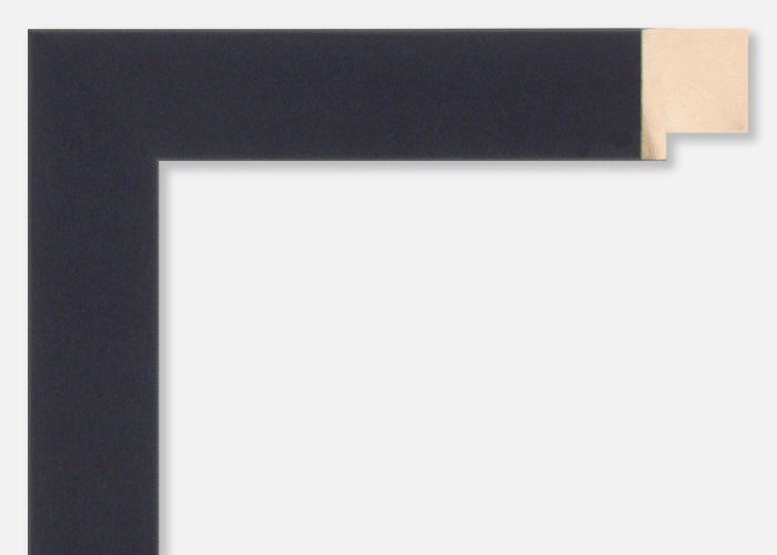 Custom Picture Frame CFSX305-290