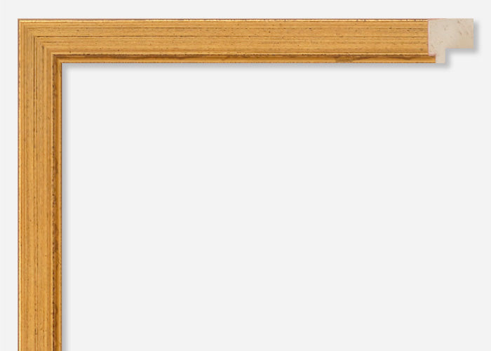 Custom Picture Frame CFSX305-305x