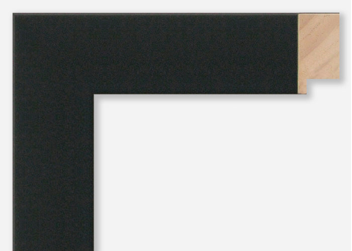 Custom Picture Frame CFSX305-640
