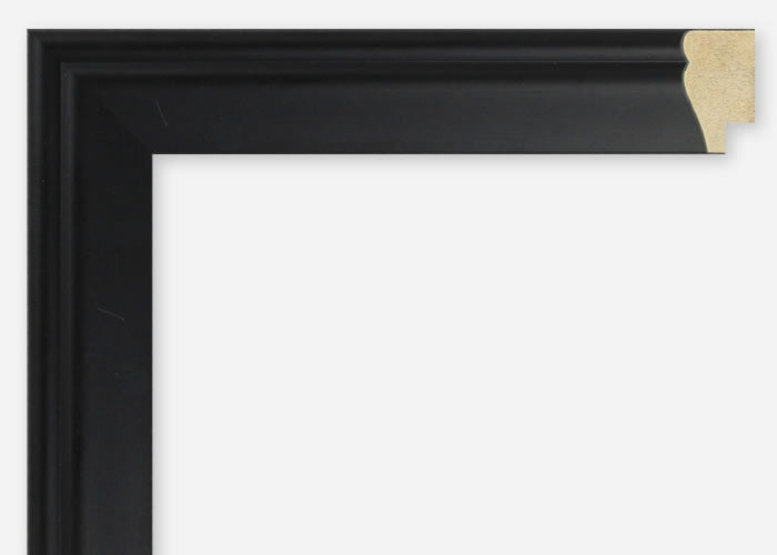 Custom Picture Frame CFSX305-645