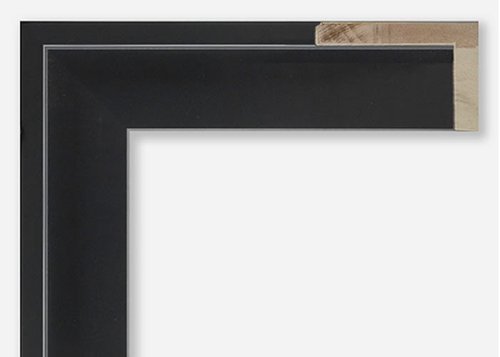 Custom Canvas Floater Frame CFSX305-775x