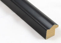 Custom Picture Frame CFSX305-910