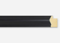 Custom Picture Frame CFSX305-910