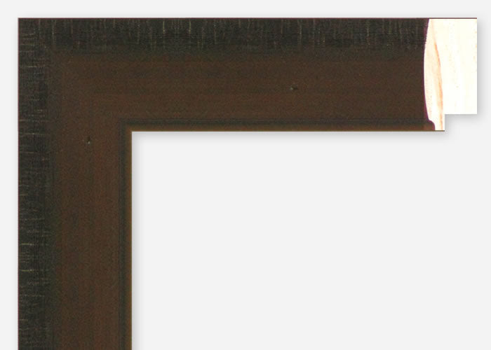 Custom Picture Frame CFSX310-110