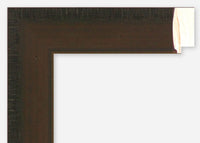 Custom Picture Frame CFSX310-110