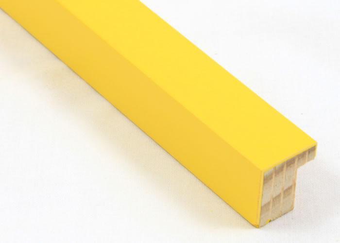 Custom Picture Frame CFSX310-145