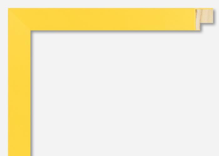 Custom Picture Frame CFSX310-145