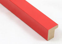 Custom Picture Frame CFSX310-155