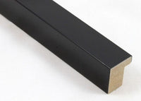 Custom Picture Frame CFSX310-160