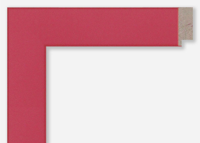 Custom Picture Frame CFSX310-305