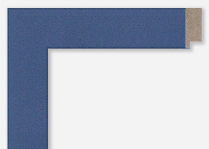 Custom Picture Frame CFSX310-310