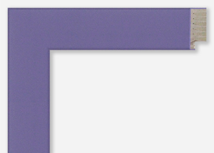 Custom Picture Frame CFSX310-320