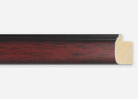 Custom Picture Frame CFSX310-360