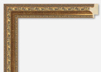 Custom Picture Frame CFSX315-10
