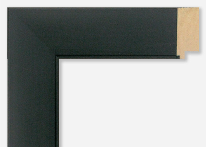 Custom Picture Frame CFSX315-15