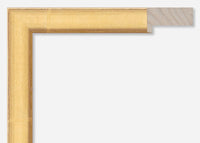 Custom Picture Frame CFSX325-25x