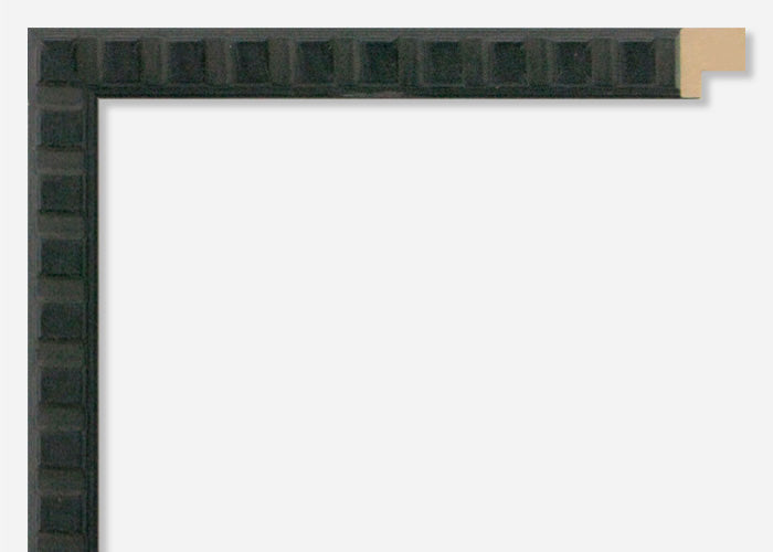 Custom Picture Frame CFSX355-45x