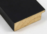 Custom Picture Frame CFSZ0370