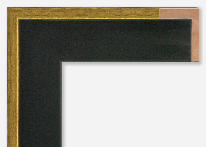 Custom Canvas Floater Frame CFSX390-70x