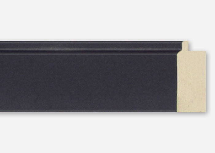 Custom Picture Frame CFSX4100-25