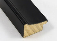 Custom Picture Frame CFSZ0411