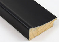 Custom Picture Frame CFSZ0412