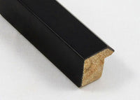 Custom Picture Frame CFSZ0416