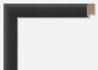 Custom Picture Frame CFSX440-10