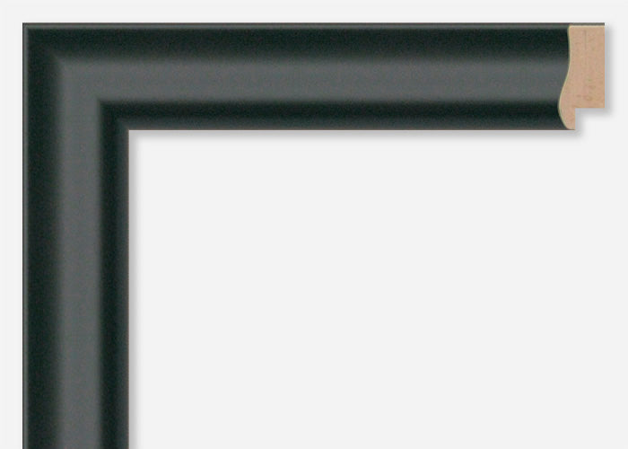Custom Picture Frame CFSX460-55