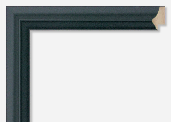 Custom Picture Frame CFSX460-70