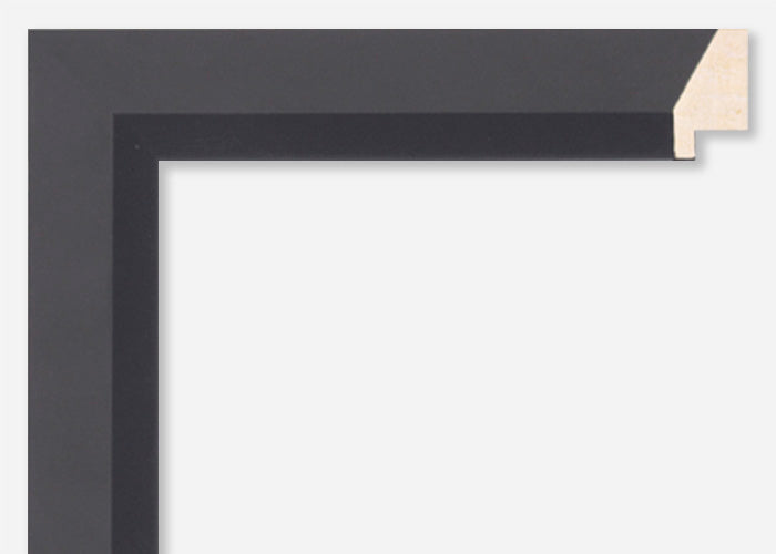 Custom Picture Frame CFSX480-10