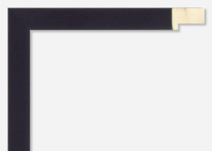 Custom Picture Frame CFSX480-15