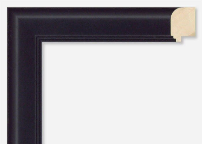 Custom Picture Frame CFSX480-20