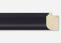 Custom Picture Frame CFSX480-20