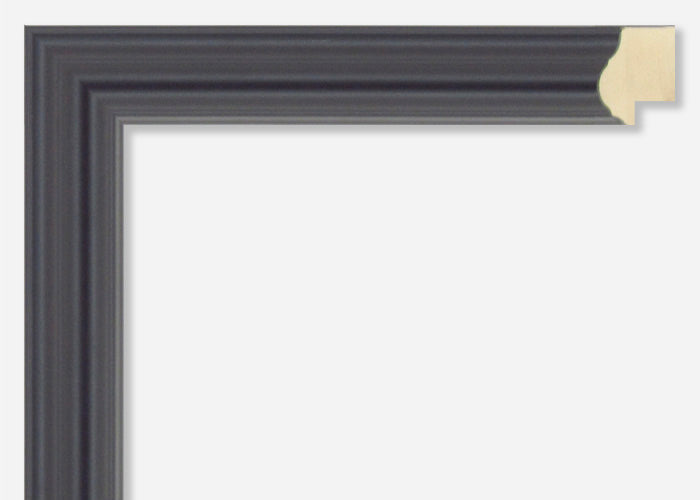 Custom Picture Frame CFSX480-50