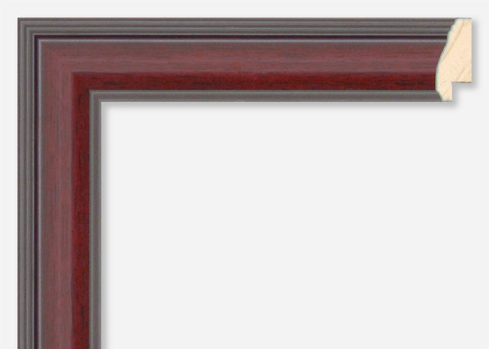 Custom Picture Frame CFSX620-65