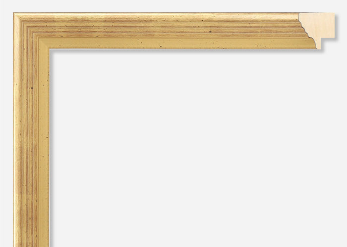 Custom Picture Frame CFSY730-6007