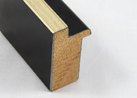 Custom Picture Frame CFSZ0786
