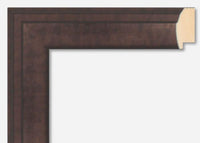 Custom Picture Frame CFSX800-245