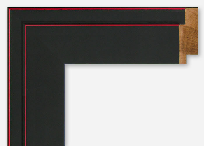 Custom Picture Frame CFSX800-290