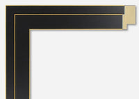 Custom Picture Frame CFSX800-380