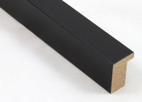 Custom Picture Frame CFSX800-415