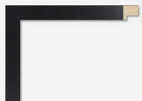 Custom Picture Frame CFSX800-415